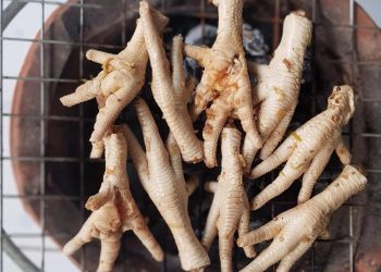 Tak Hanya Lezat, Ini Beragam Manfaat Ceker Ayam yang Baik untuk Kesehatan