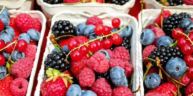 Tips agar Anak Mau Makan Buah Tanpa Dipaksa