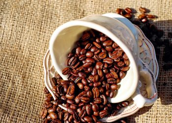 5 Kreasi Lezat Berbahan Kopi yang Bukan Sekadar Minuman