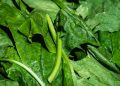 Bosan Sayur Bening? Ini Referensi Olahan Bayam yang Lezat dan Mudah Dibuat