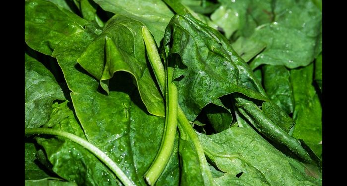 Bosan Sayur Bening? Ini Referensi Olahan Bayam yang Lezat dan Mudah Dibuat