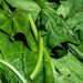 Bosan Sayur Bening? Ini Referensi Olahan Bayam yang Lezat dan Mudah Dibuat