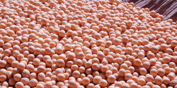 Bukan Cuma Susu, Ini Kreasi Minuman Berbahan Kedelai yang Patut Dicoba
