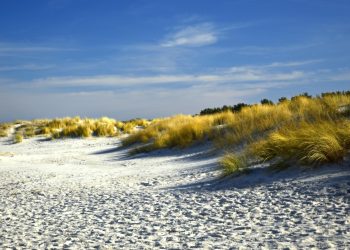 Menikmati Pesona Pantai Solop, Surga Tersembunyi di Pesisir Indragiri Hilir