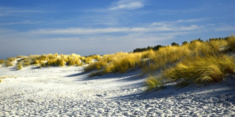 Menikmati Pesona Pantai Solop, Surga Tersembunyi di Pesisir Indragiri Hilir