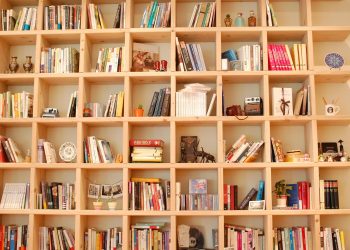 Kapan Waktu Terbaik untuk Membaca Buku? Ini Penjelasannya!