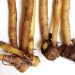 Temu Kunci Bukan Sekadar Bumbu, Ini Berbagai Manfaatnya untuk Masakan