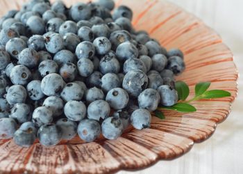 Blueberry Punya Segudang Manfaat untuk Menjaga Kesehatan Tubuh