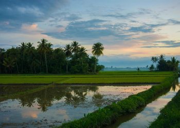 Berhenti Membandingkan Jalan Hidupmu, Allah Sedang Menulis Skenario Terbaik