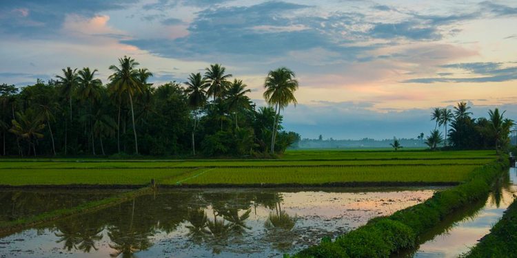 Berhenti Membandingkan Jalan Hidupmu, Allah Sedang Menulis Skenario Terbaik