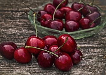 Mengapa Buah Ceri Layak Masuk Menu Harian? Ini Manfaatnya bagi Kesehatan