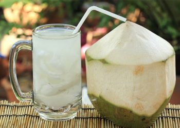 Manfaat Air Kelapa Muda untuk Ibu Hamil