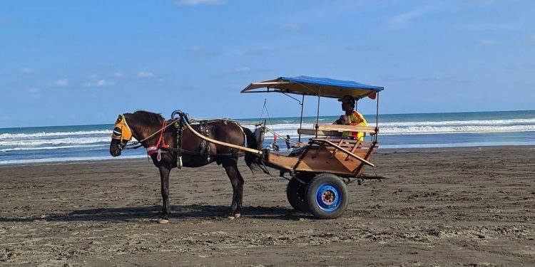 Pantai Widarapayung yang Memesona Berada di Cilacap
