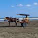 Pantai Widarapayung yang Memesona Berada di Cilacap