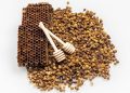 3 Manfaat Propolis yang Jarang Diketahui untuk Kesehatan
