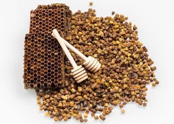 3 Manfaat Propolis yang Jarang Diketahui untuk Kesehatan
