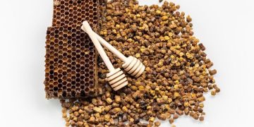 3 Manfaat Propolis yang Jarang Diketahui untuk Kesehatan