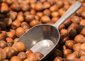 Ketahui Ragam Manfaat Kacang Hazelnut untuk Kecantikan Kulit yang Sayang Dilewatkan