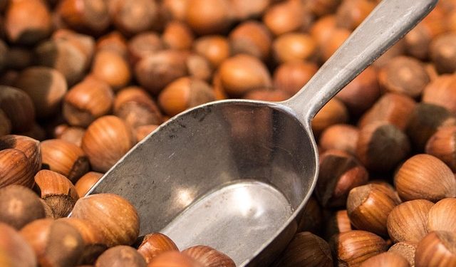 Ketahui Ragam Manfaat Kacang Hazelnut untuk Kecantikan Kulit yang Sayang Dilewatkan