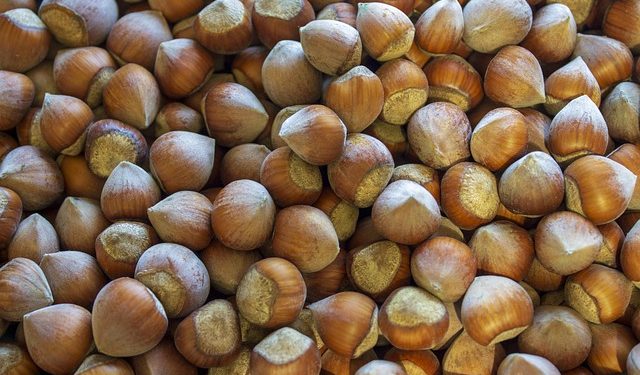 Manfaat Minyak Kemiri Selain untuk Rambut yang Jarang Diketahui