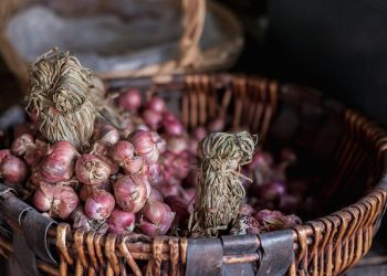 Tips Menyimpan Bawang Merah agar Tidak Cepat Busuk