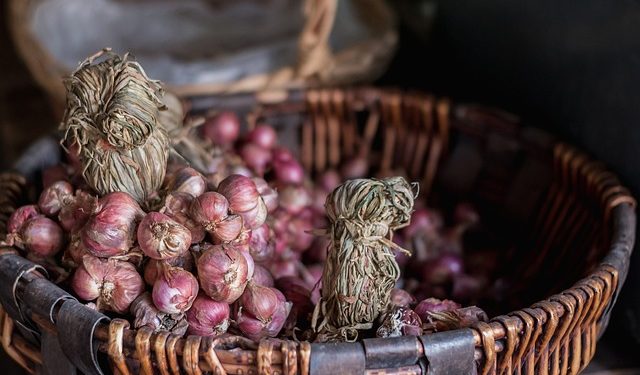 Tips Menyimpan Bawang Merah agar Tidak Cepat Busuk