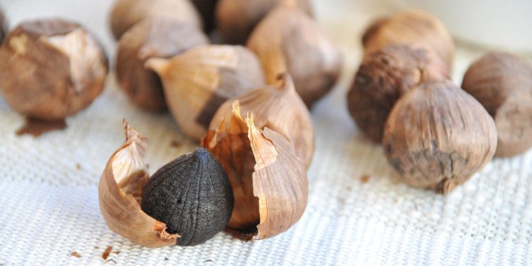 Simak Ragam Manfaat Bawang Hitam untuk Lansia di Sini!