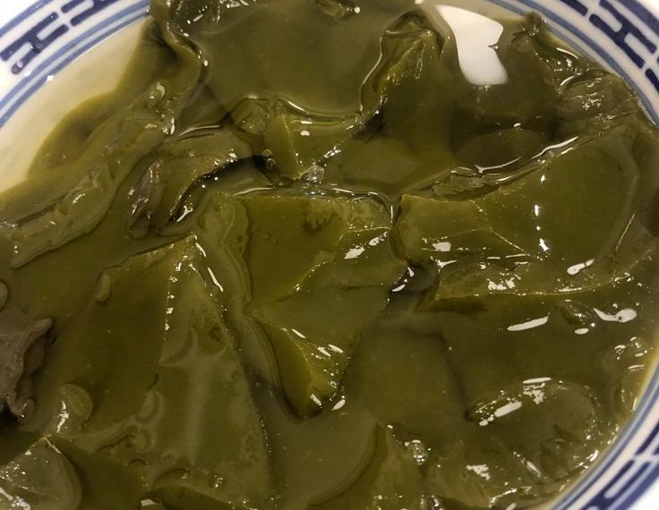Manfaat Cincau Hijau untuk Ibu Hamil, Benarkah Aman Dikonsumsi?