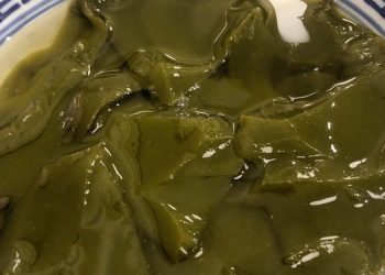 Manfaat Cincau Hijau untuk Ibu Hamil, Benarkah Aman Dikonsumsi?