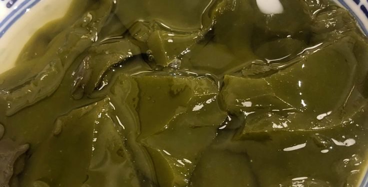 Manfaat Cincau Hijau untuk Ibu Hamil, Benarkah Aman Dikonsumsi?