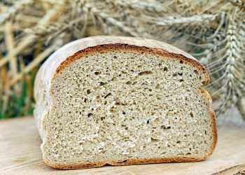Roti Tawar Cepat Berjamur? Ini Cara Menyimpannya agar Lebih Awet