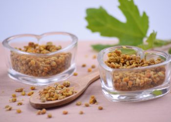 Manfaat Bee Pollen untuk Mendukung Kecerdasan Otak Anak