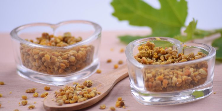 Manfaat Bee Pollen untuk Mendukung Kecerdasan Otak Anak