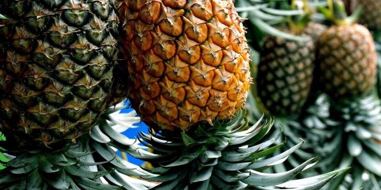 Benarkah Kombinasi Nanas dan Jahe Dapat Meningkatkan Pembakaran Kalori? Ini Penjelasannya