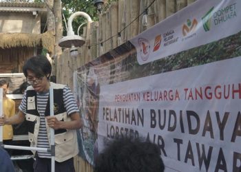 LPM Dompet Dhuafa Dorong Kemandirian Ekonomi Lewat Pelatihan Budidaya Lobster