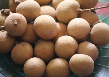 Manis dan Menyegarkan, Ini Beragam Manfaat Buah Lengkeng untuk Kesehatan