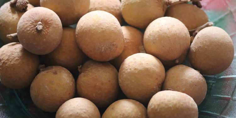 Manis dan Menyegarkan, Ini Beragam Manfaat Buah Lengkeng untuk Kesehatan