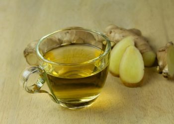 Rahasia Herbal Alami untuk Promil Suami Istri