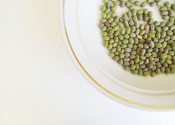 Jangan Cuma Dibikin Bubur, Ini 5 Kreasi Kacang Hijau yang Bisa Jadi Menu Tinggi Protein