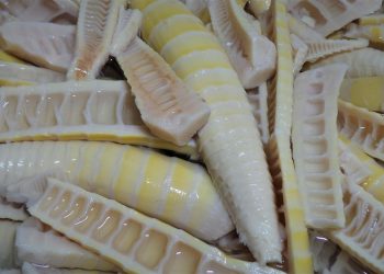 Tips Menghilangkan Bau pada Rebung Sebelum Diolah Menjadi Masakan
