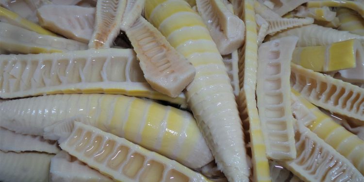 Tips Menghilangkan Bau pada Rebung Sebelum Diolah Menjadi Masakan