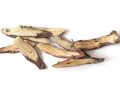 Ketahui Jenis Tanaman Herbal yang Ampuh untuk Obati Gatal dan Alergi
