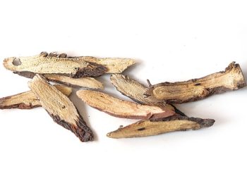 Ketahui Jenis Tanaman Herbal yang Ampuh untuk Obati Gatal dan Alergi