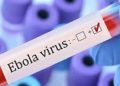 WHO Rekomendasikan Vaksin Ebola Ervebo yang Telah Berlisensi