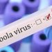 WHO Rekomendasikan Vaksin Ebola Ervebo yang Telah Berlisensi
