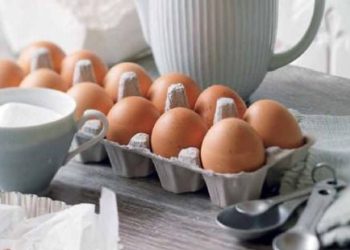 Tips Memilih Telur Ayam yang Bagus dan Segar