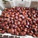 Rahasia Memasak Jengkol agar Empuk Tanpa Bau Menyengat