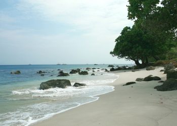 BNPB Tingkatkan Kesiapsiagaan Bahaya Tsunami di Pesisir Banten