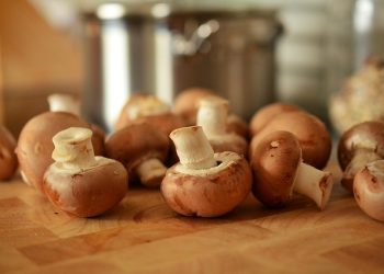 Mengenal Ragam Jamur untuk Masakan Sehari Hari