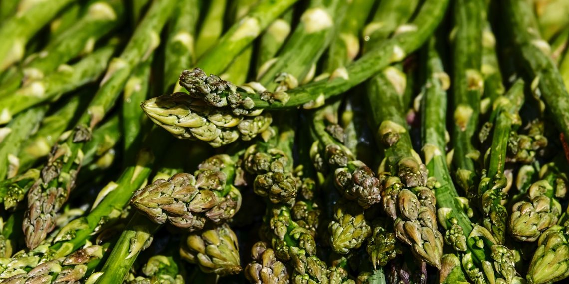Begini Cara Mengolah Asparagus yang Benar Sebelum Dimasak